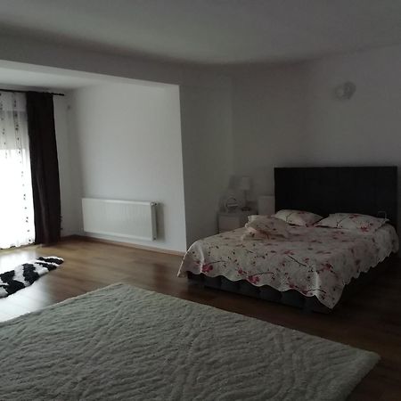 Adelina Apartment Schitu ภายนอก รูปภาพ