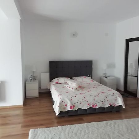 Adelina Apartment Schitu ภายนอก รูปภาพ