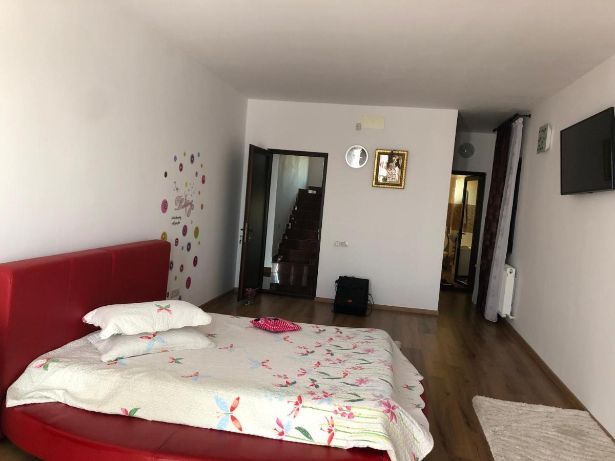 Adelina Apartment Schitu ภายนอก รูปภาพ