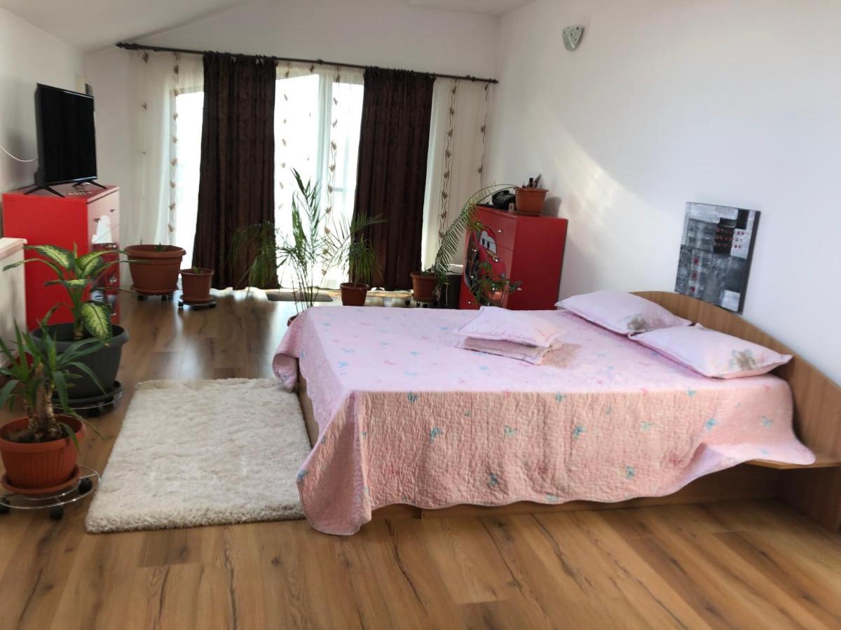 Adelina Apartment Schitu ภายนอก รูปภาพ
